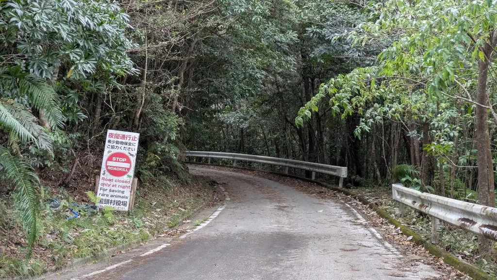 1-20:大国林道と与那林道の交差点