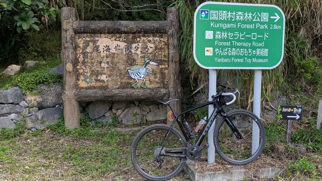 2-02：奥間林道へつながる道
