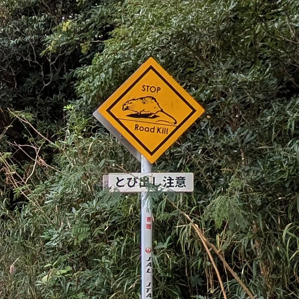 2-08：ロードキルを防ぐ標識（ケナガネズミ）