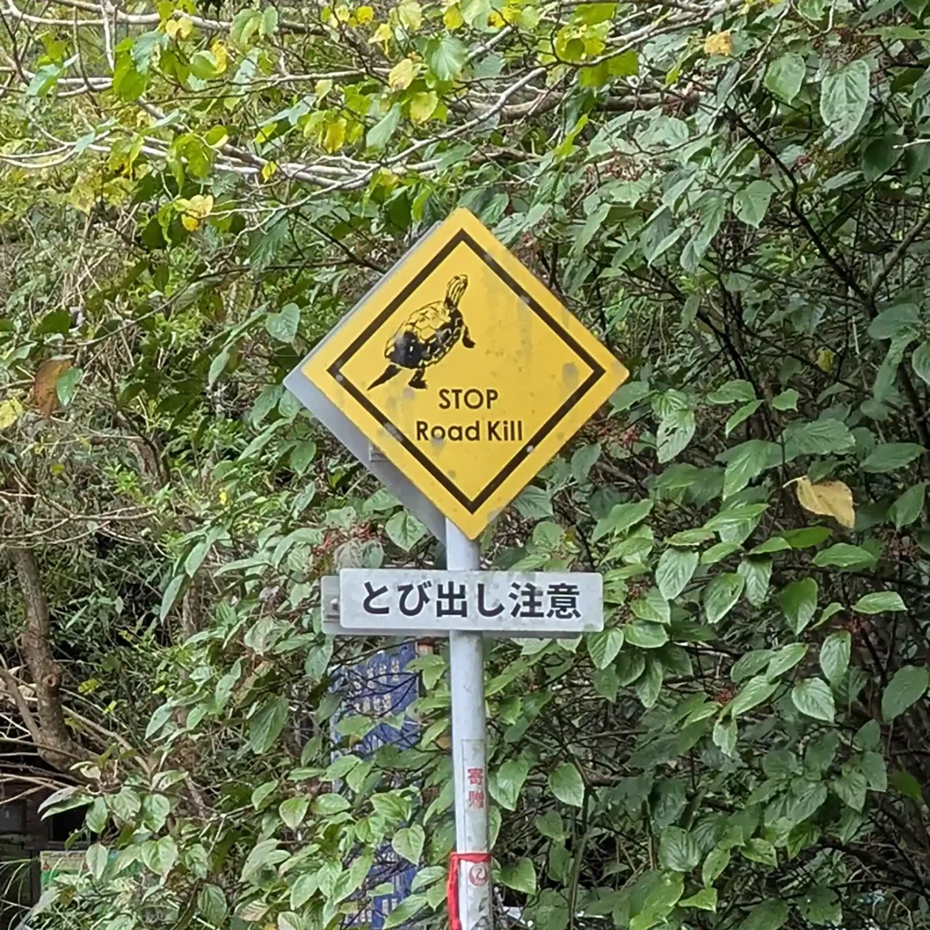 2-10：ロードキルを防ぐ標識（リュウキュウヤマガメ）