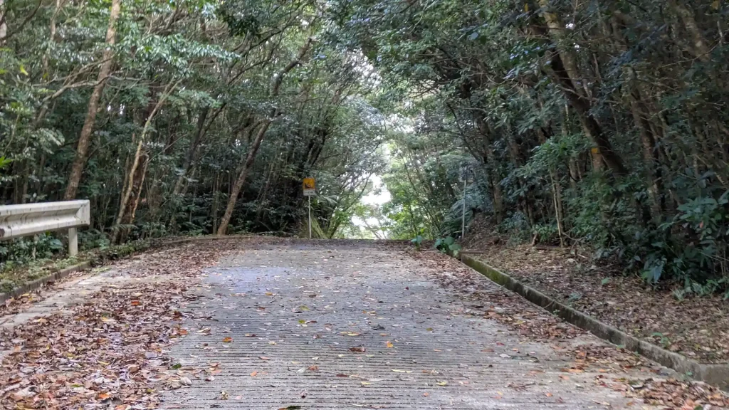 2-15：大国林道のアップダウン