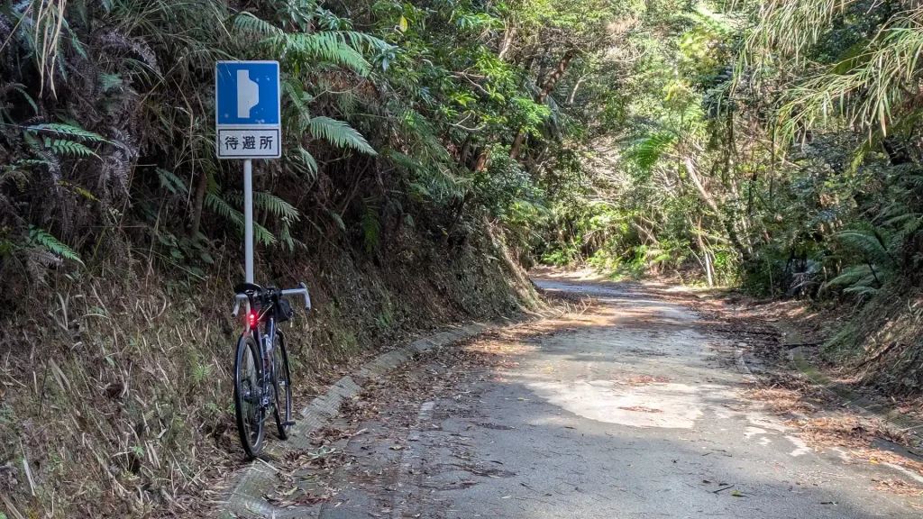 2-19：伊地林道 待避所の手前