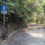 2-19:伊地林道 待避所の手前