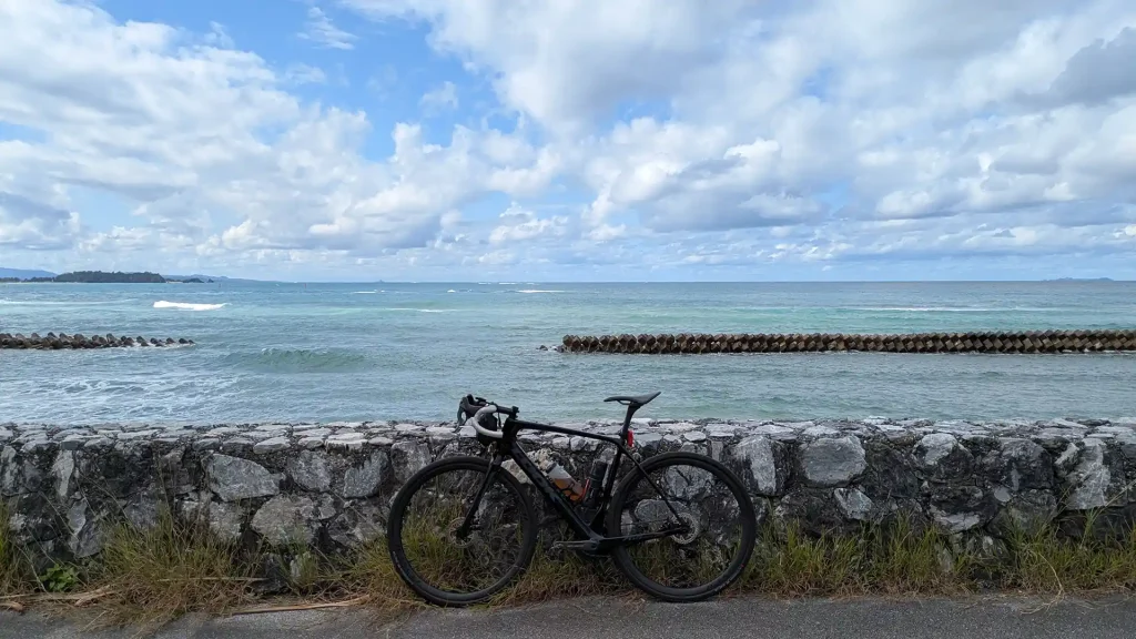 2-25：国頭村伊地（国道58号線）
