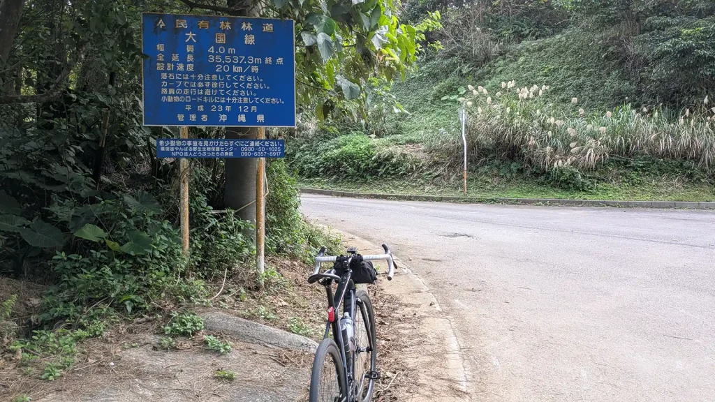 3-04:大国林道終点