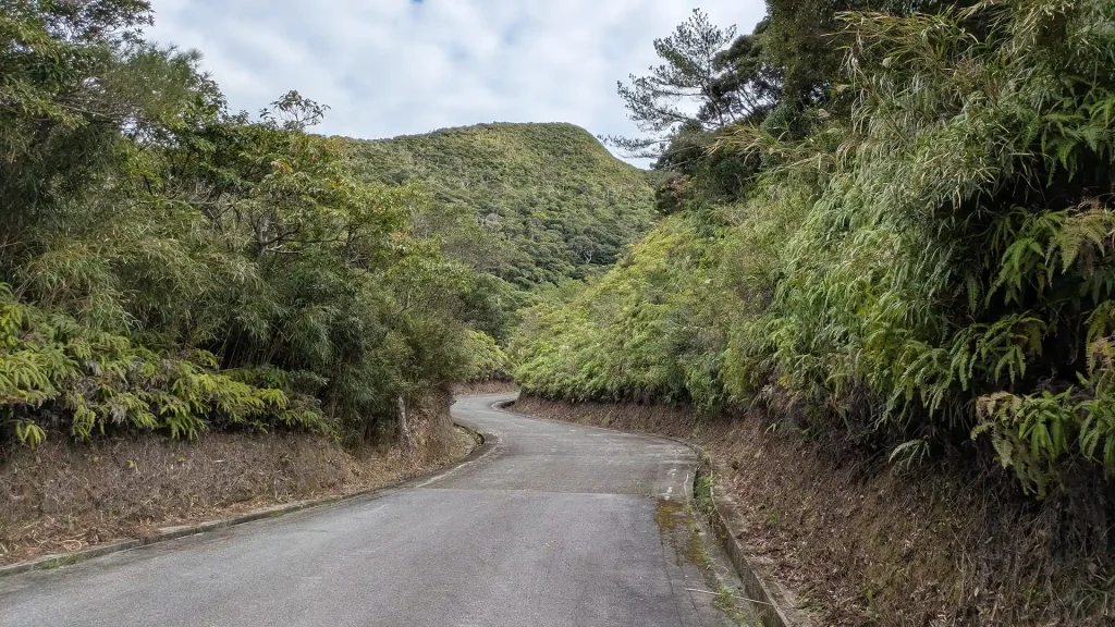 3-11:やんばるの山々の背骨が見える