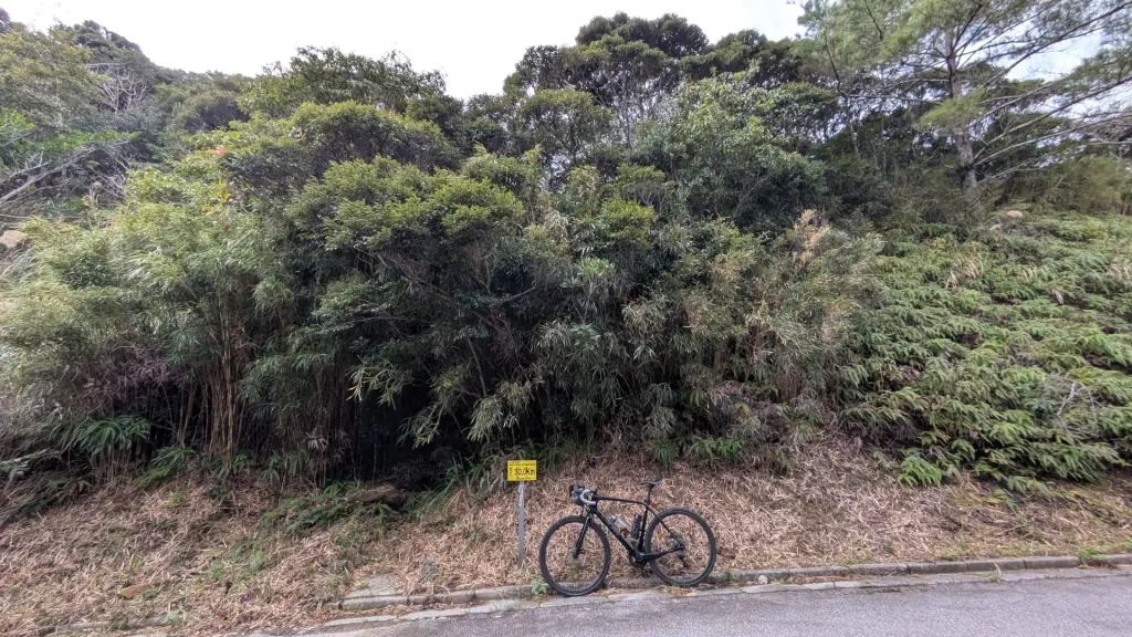 3-13:大国林道 起点から30km地点