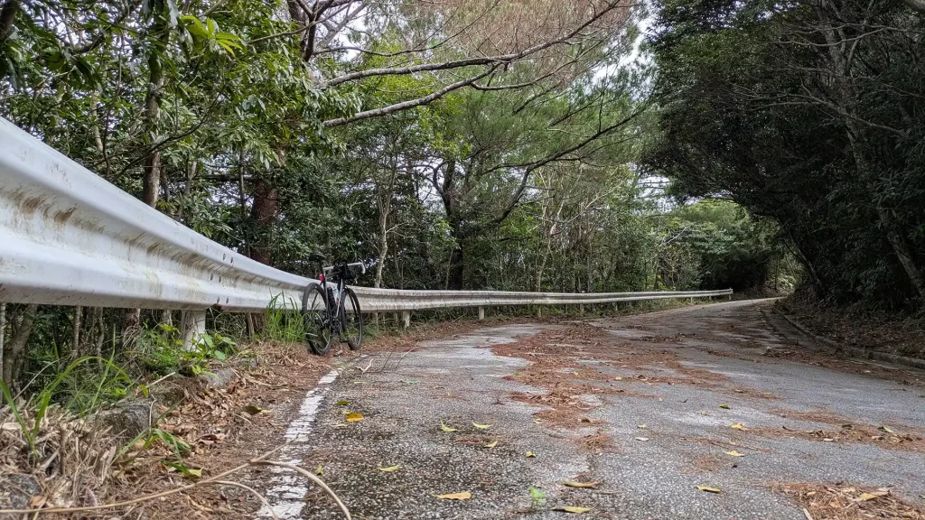 3-15:カーブする大国林道