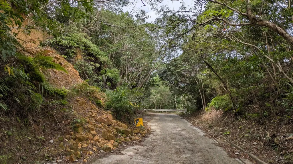 3-16:大国林道 土砂崩れで標識が倒れた箇所