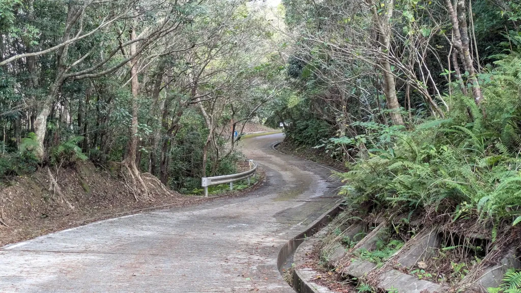 3-17:蛇行する大国林道