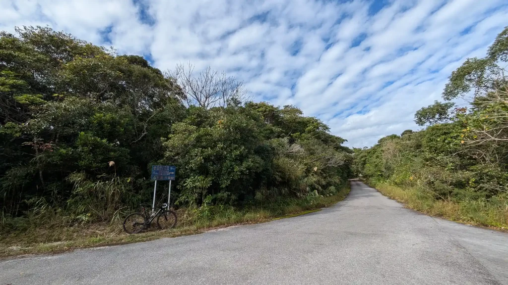 3-18:大国林道 起点から26km地点
