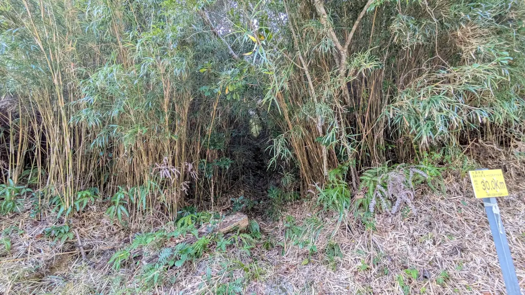 3-19:大国林道 起点から30km地点