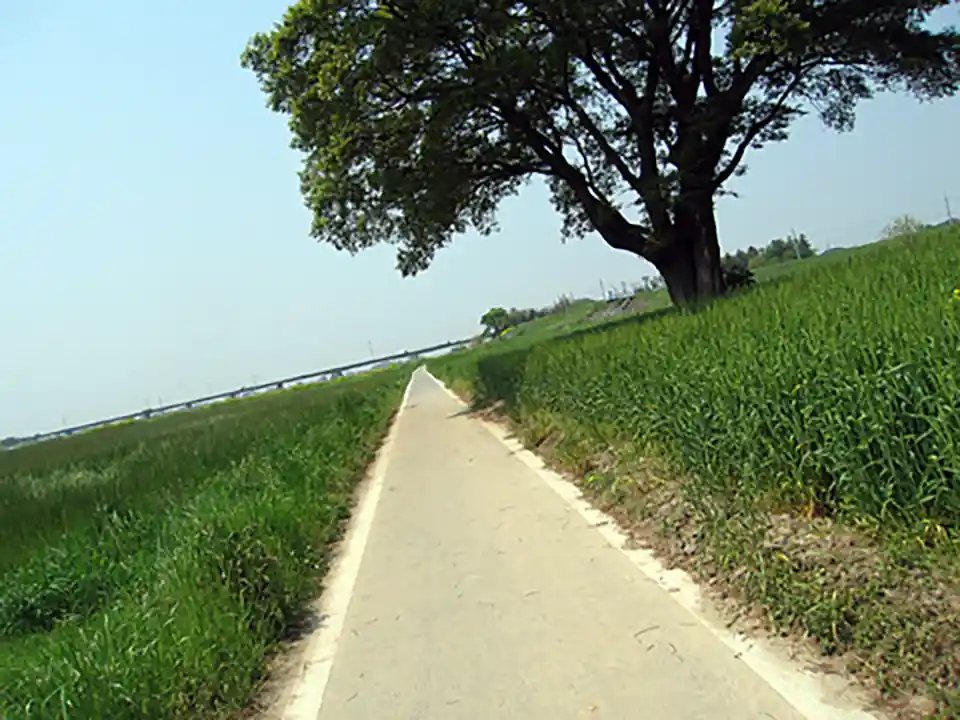 のどかな道をひたすら走ります