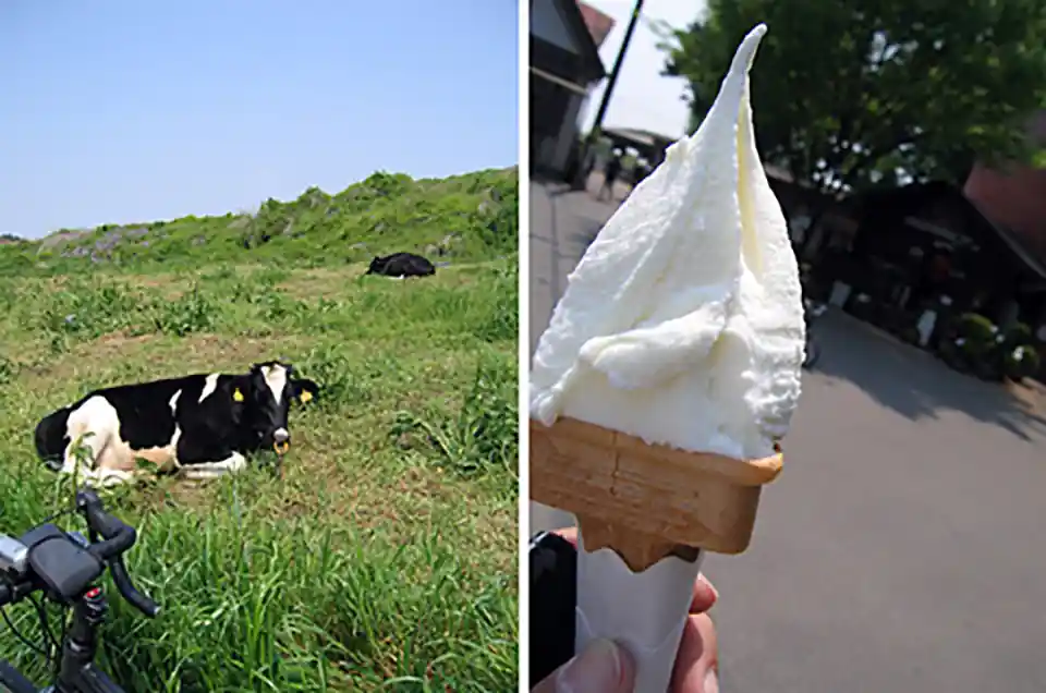 榎本牧場でミルクのジェラートアイスをいただいた