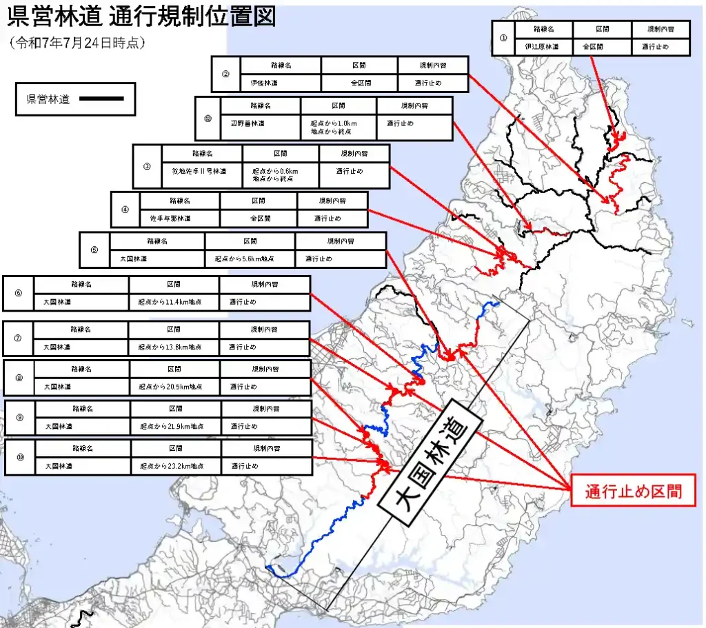走行ルートはブルーのライン(沖縄県公式サイトより)