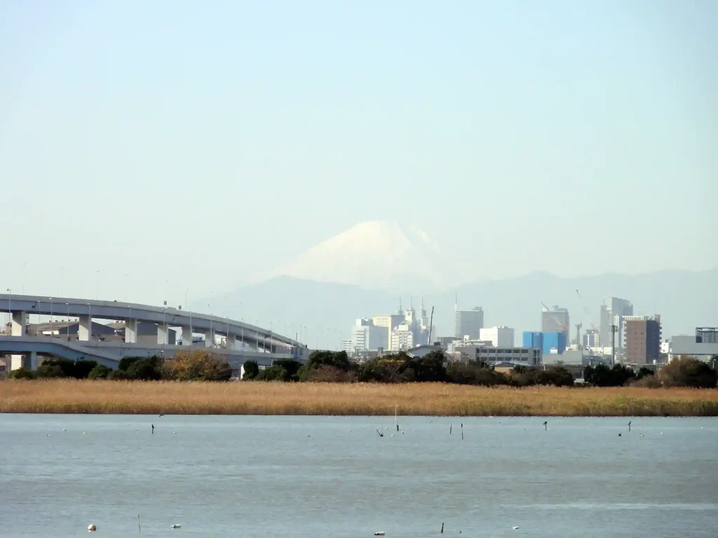 羽田から富士山が見えた
