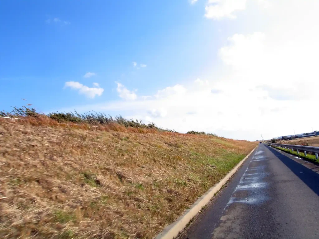 長門川沿いの道