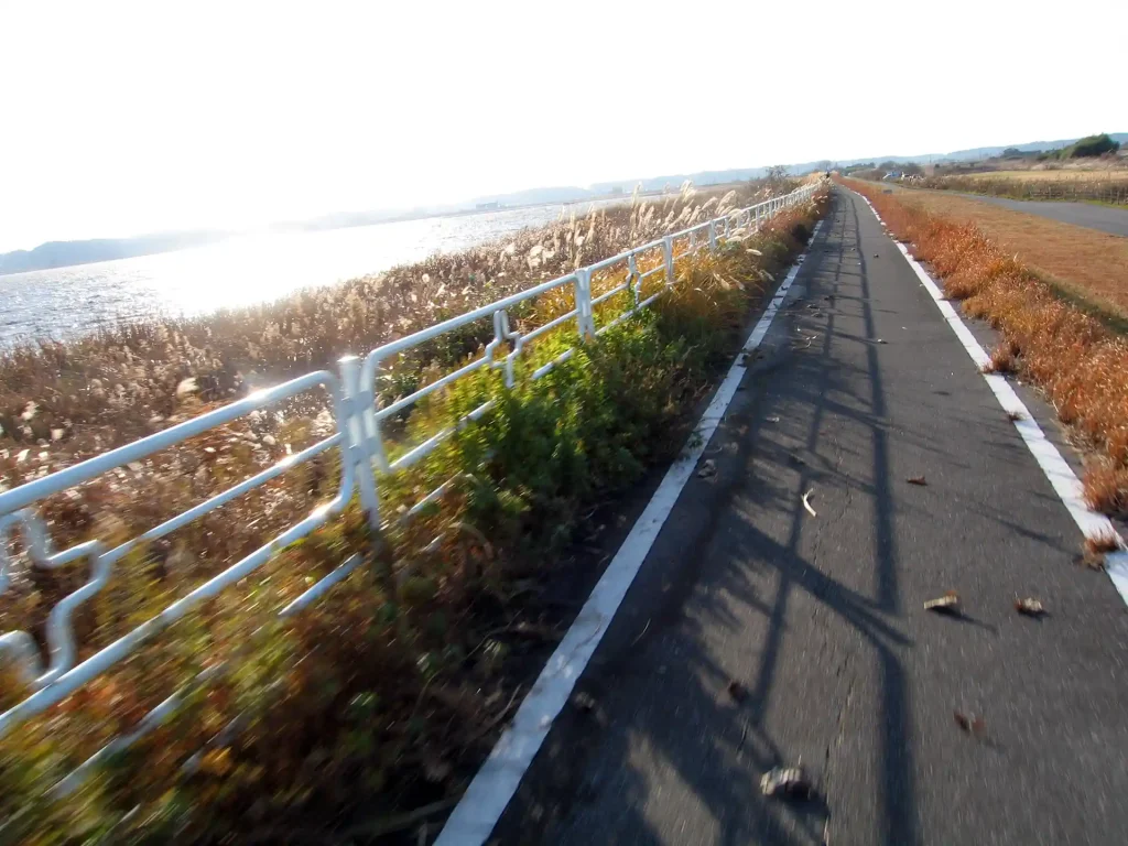 印旛沼サイクリングロード(吉高干拓付近)