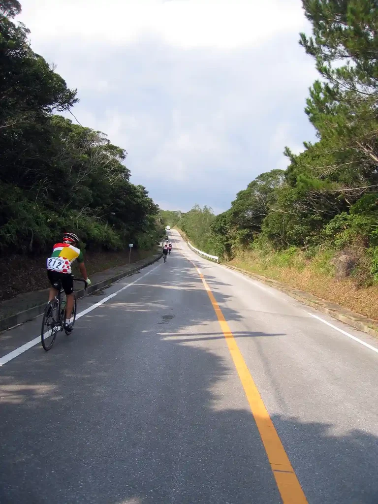 何度上っても、すぐ下る