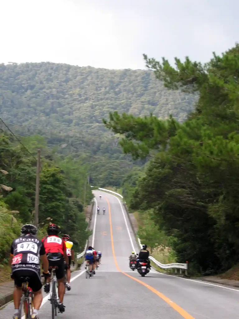 下りかな?いや上り坂だ!