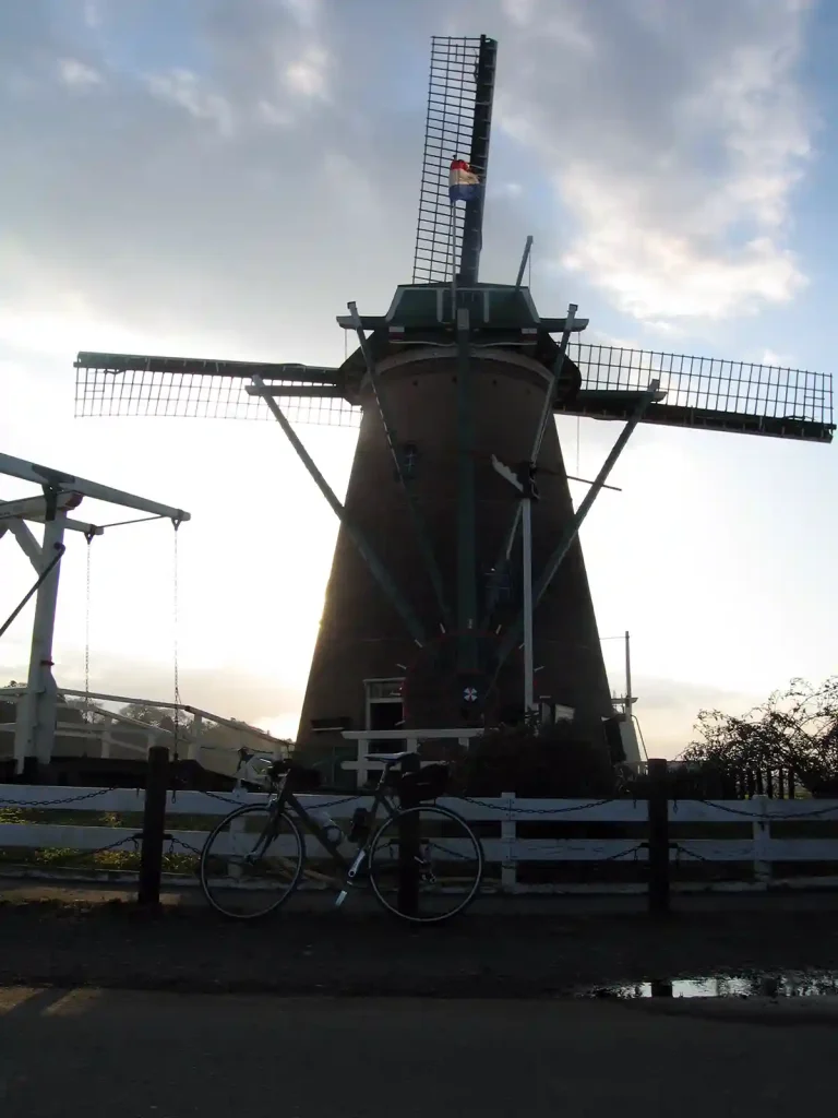 風があるのでグルグル回ってる