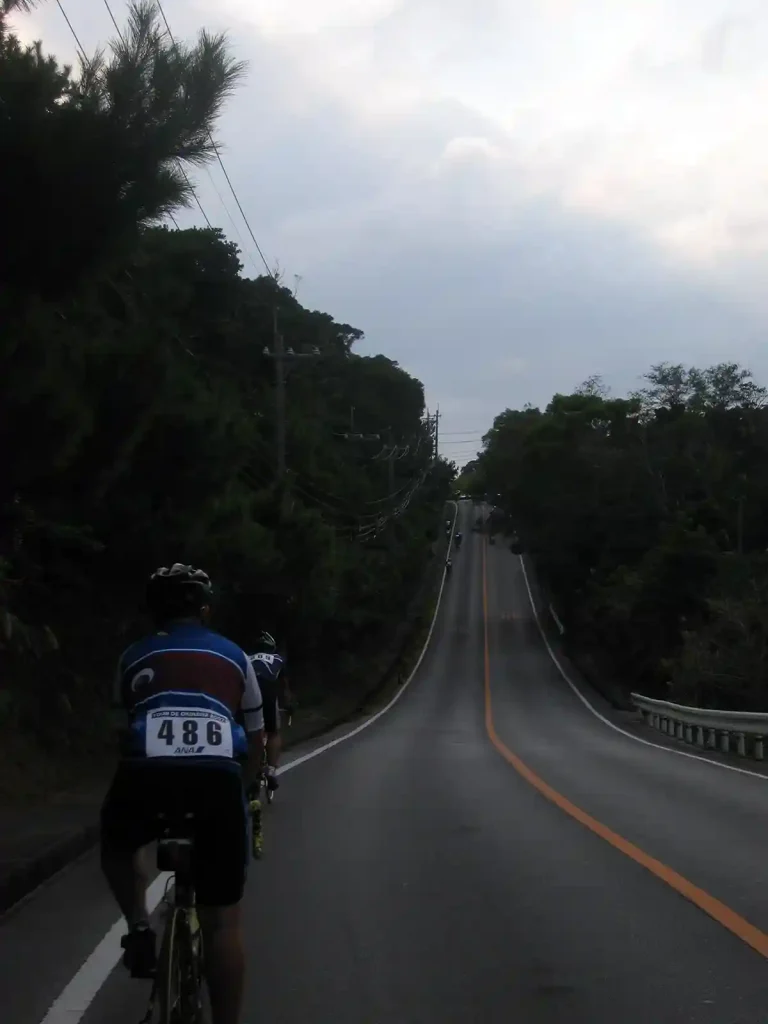 せっせと上って