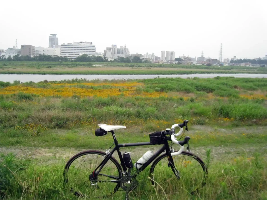 多摩川CR府中四谷橋・下流側
