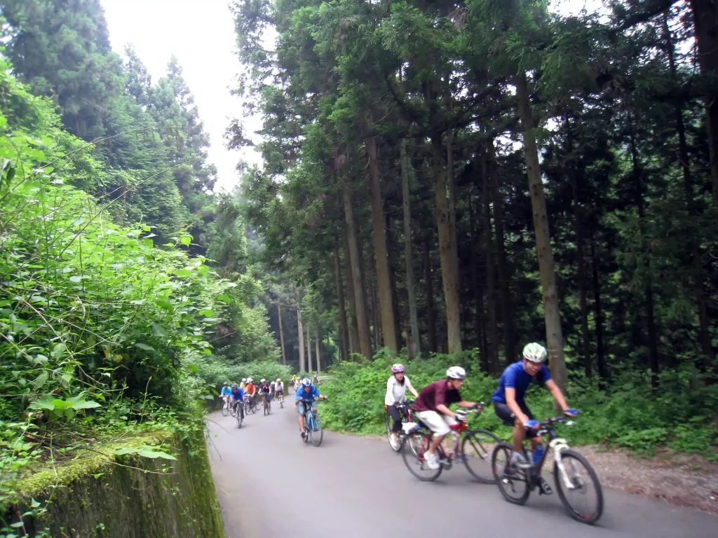 こちらも大学生のよう