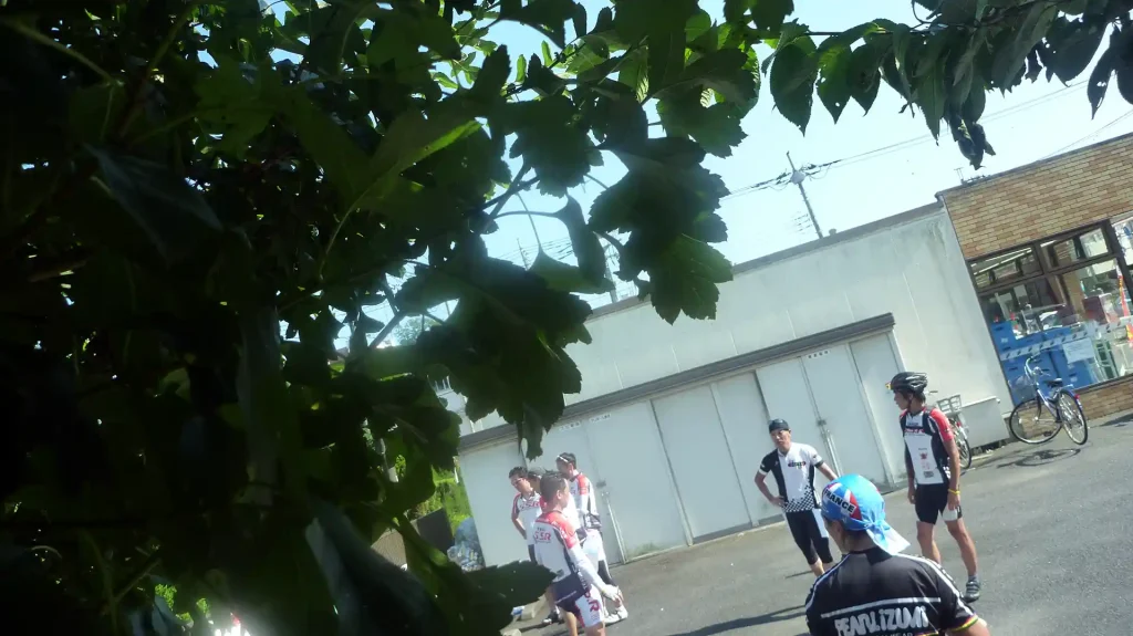 日陰、日陰、、