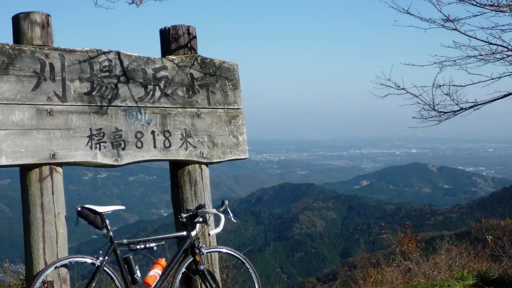 刈場坂峠 標高818m