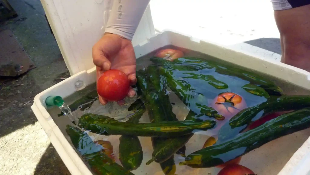 久保つりばし有機野菜直売所