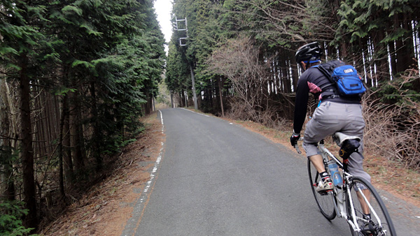 尾根に上がってしまえば緩いアップダウン