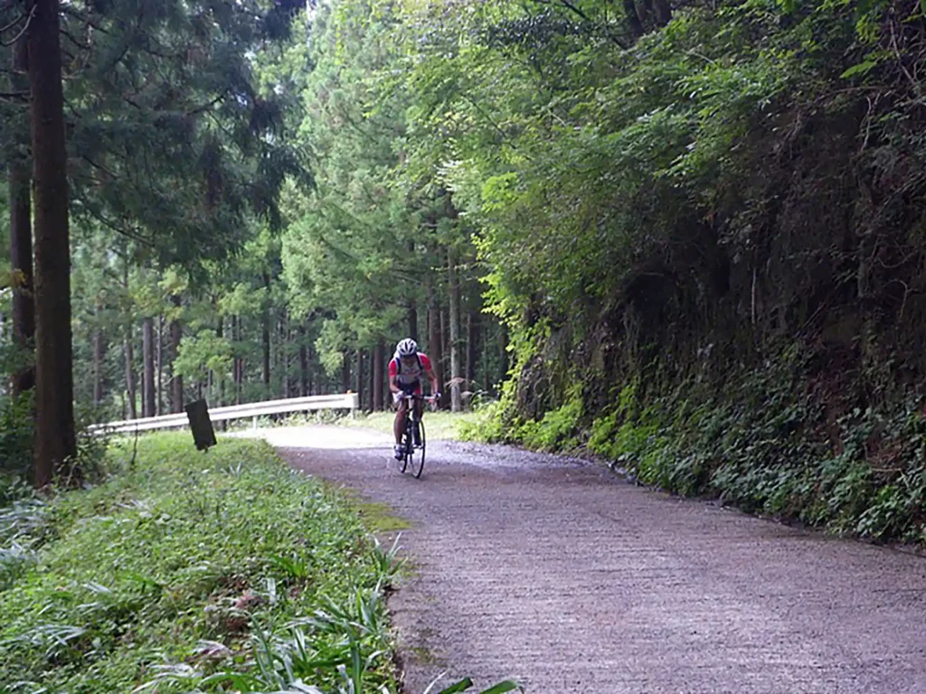 子ノ権現への激坂を上る私 photo : valさん