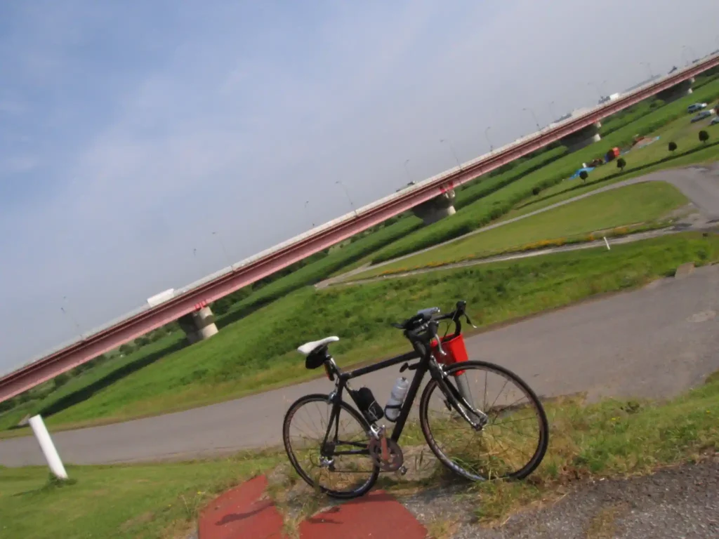 利根川 大利根橋右岸たもと