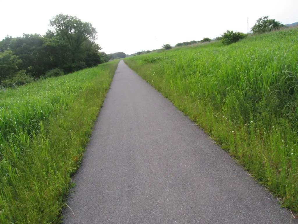 小貝川沿いのどこか