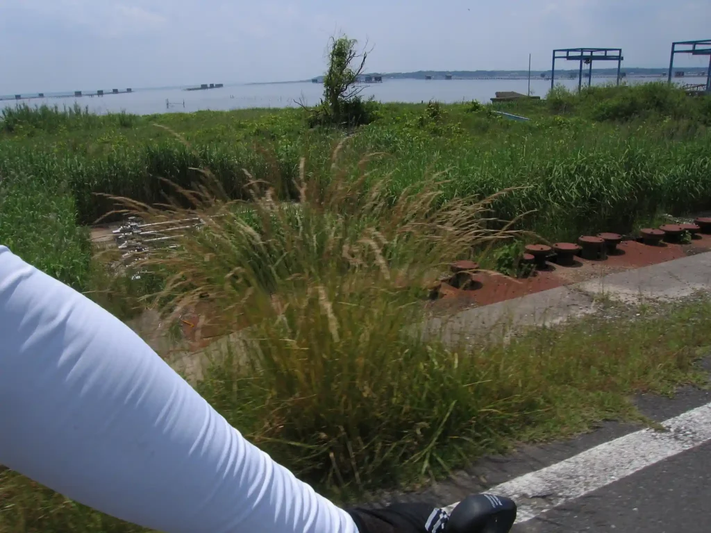 付けてると涼しいUVカット・アームカバー