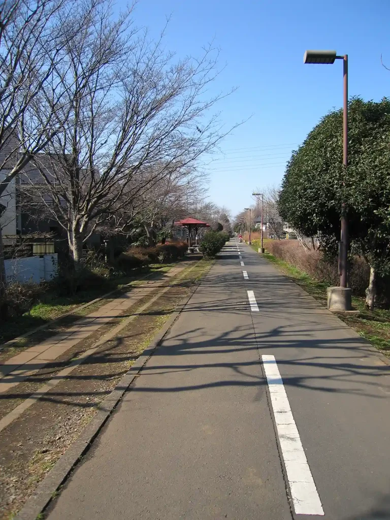 ひたすら真っすぐ