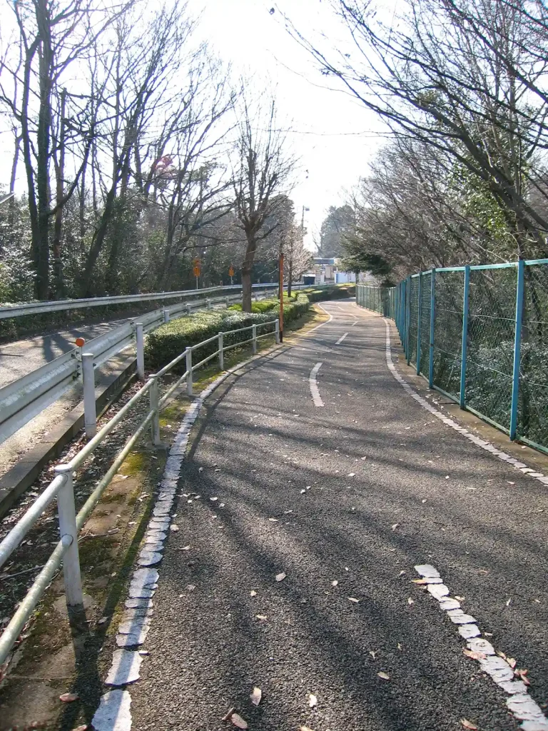 多摩湖自転車道