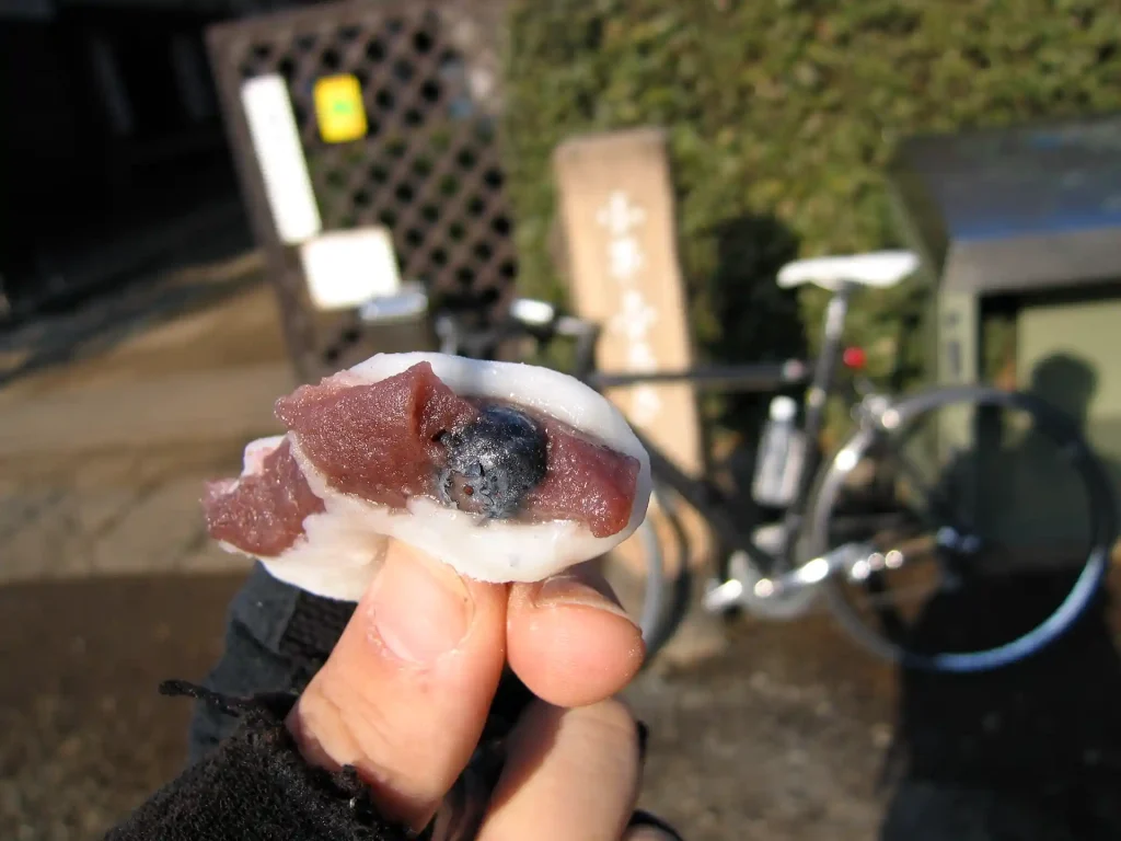 「小平ふるさと村」の前の露店で買ったブルーベリー大福