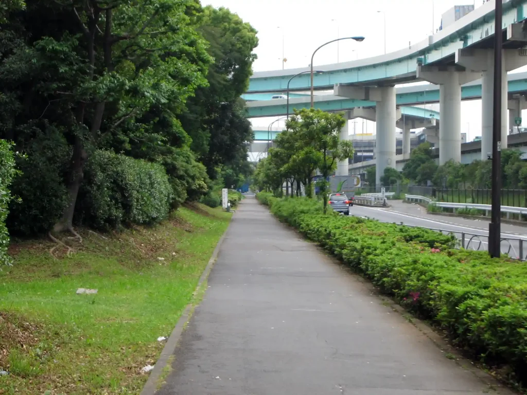 辰巳の森緑道公園前の歩道