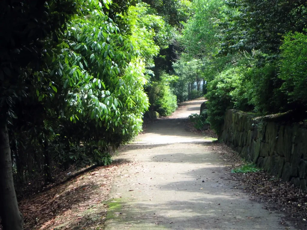 辰巳の森緑道公園内の歩道