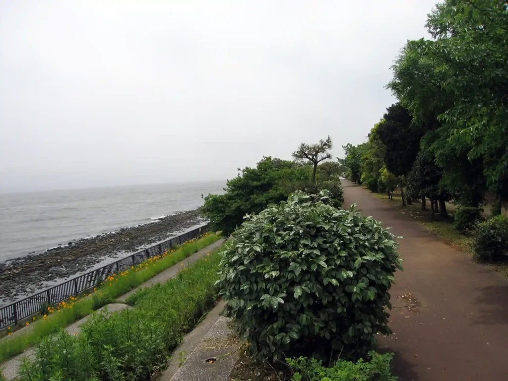 Map4:新木場緑道公園