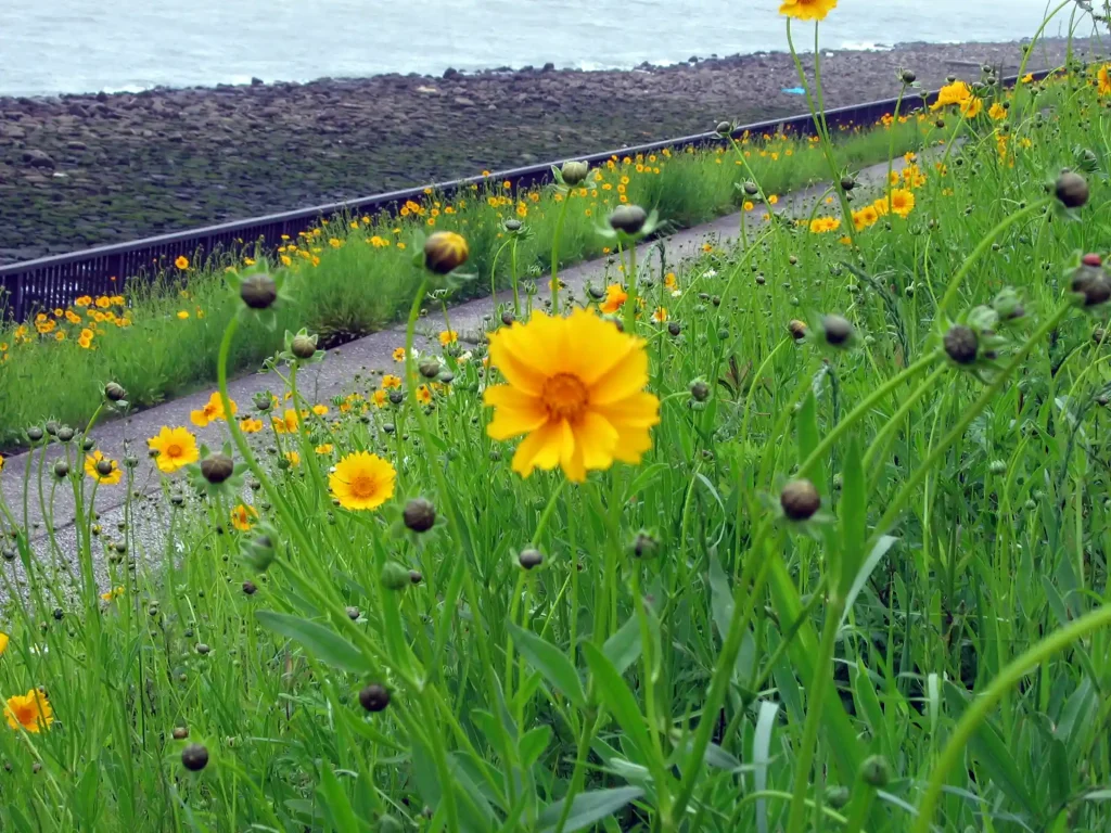 Map5:若洲海浜公園サイクリングコース