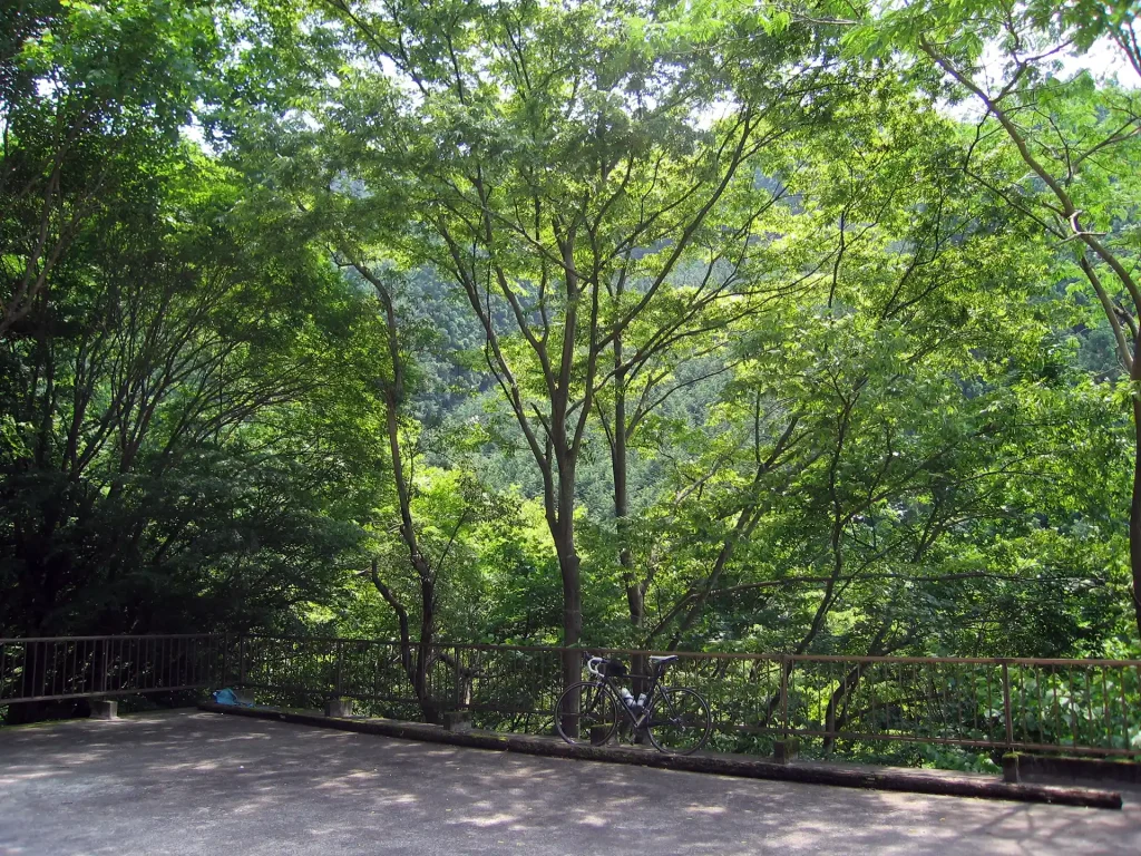 日陰で風通しが良いところは休憩ポイントと決めた