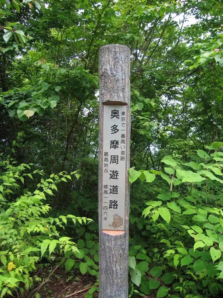 最高地点　1146ｍ