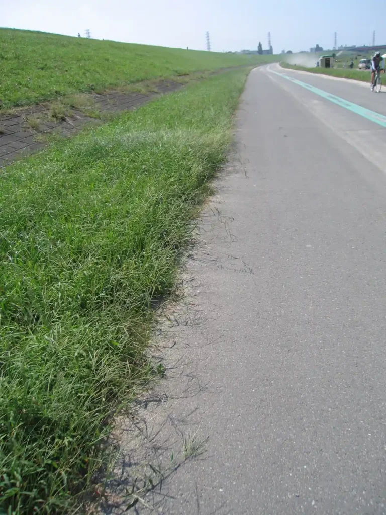 おじいちゃんはこんな感じのところに倒れてた