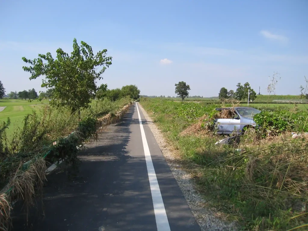 台風のツメ跡がここにも