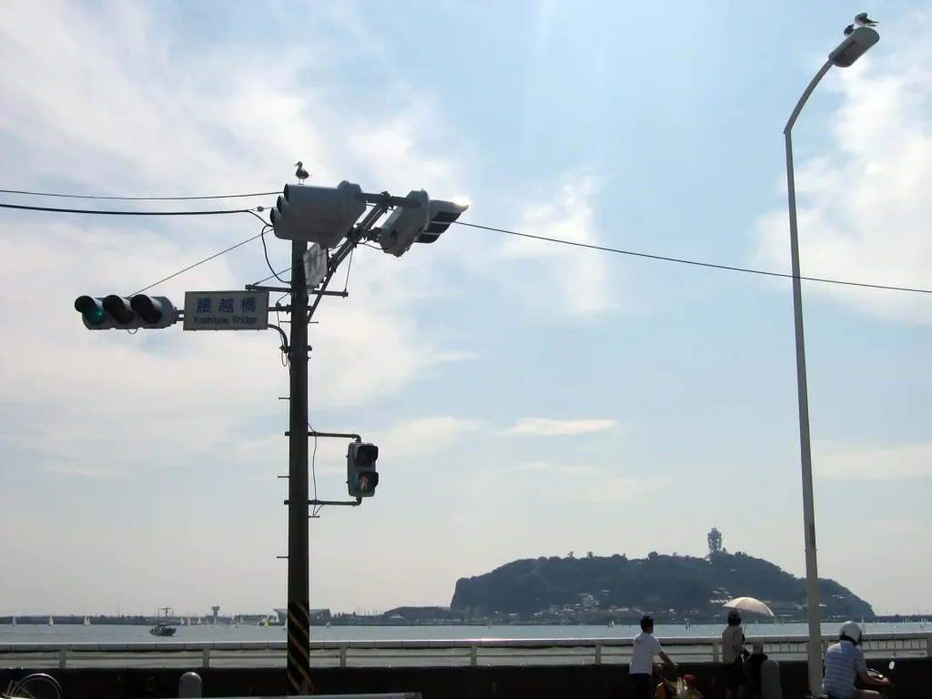 懐かしい腰越海岸。カモメが信号機の上で休憩