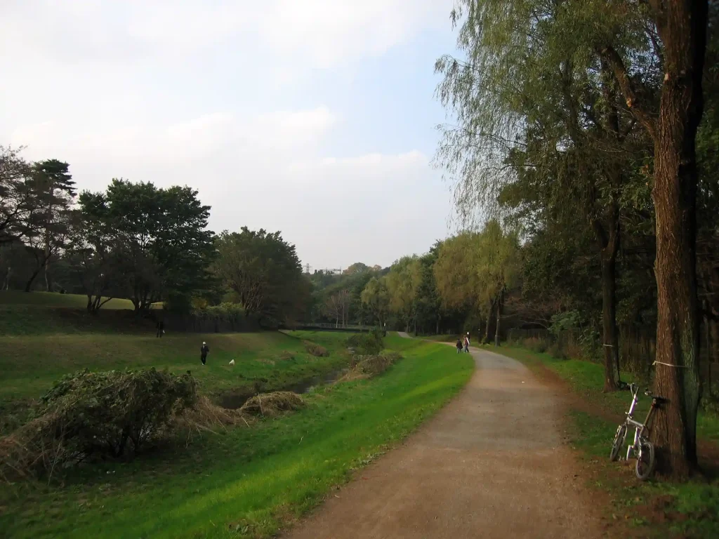 野川公園 かしの木橋近く