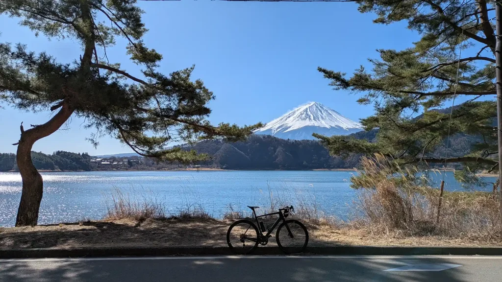 39：河口湖の松と富士
